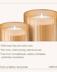 Amélie - Yuzu & Neroli Blossom 7oz Candle