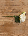 Cream Peony Spray Stem