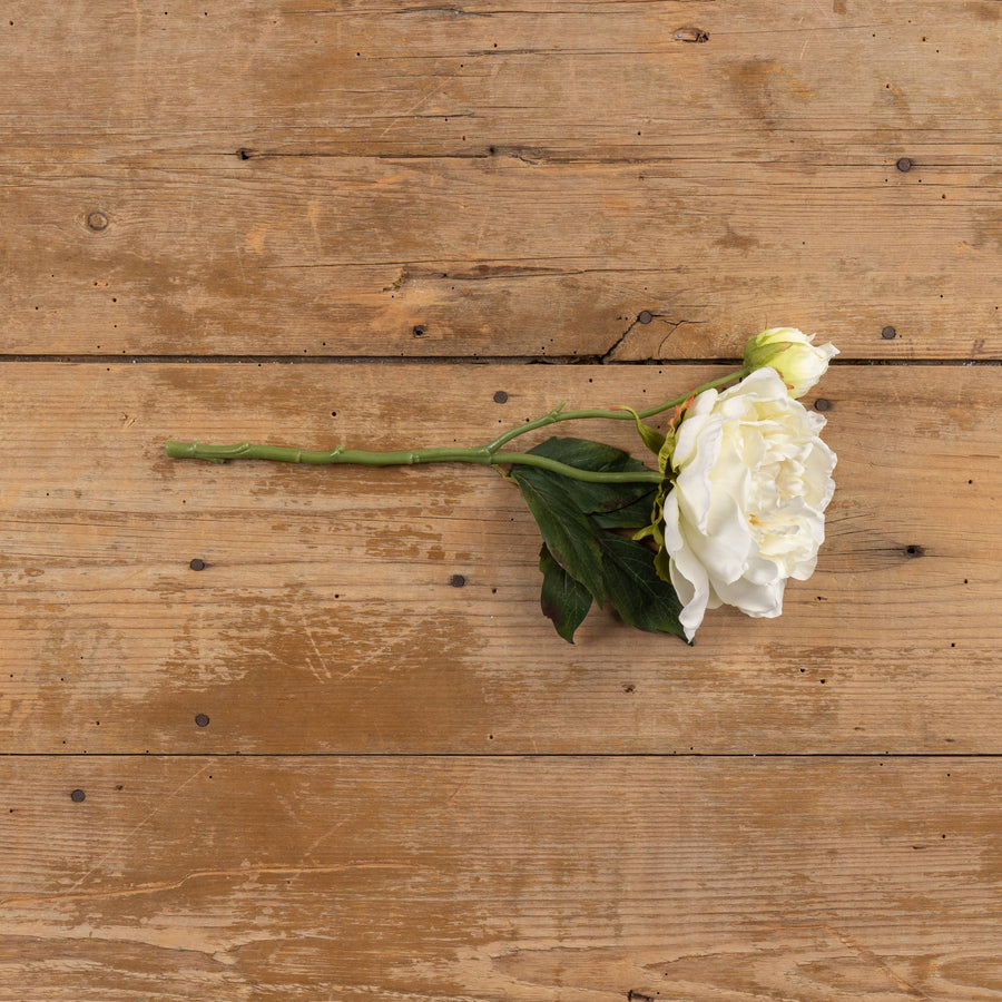 Cream Peony Spray Stem