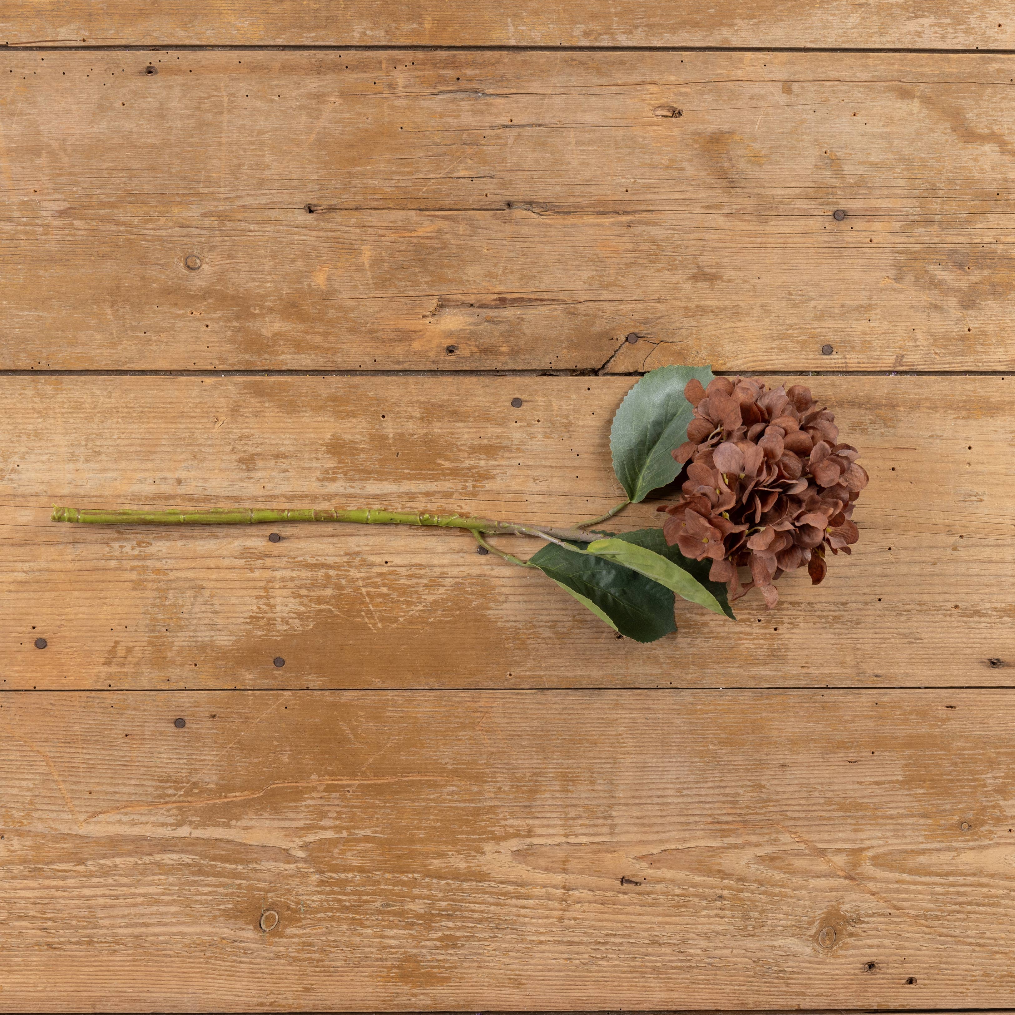 Brown Hydrangea Spray Stem