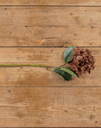 Brown Hydrangea Spray Stem