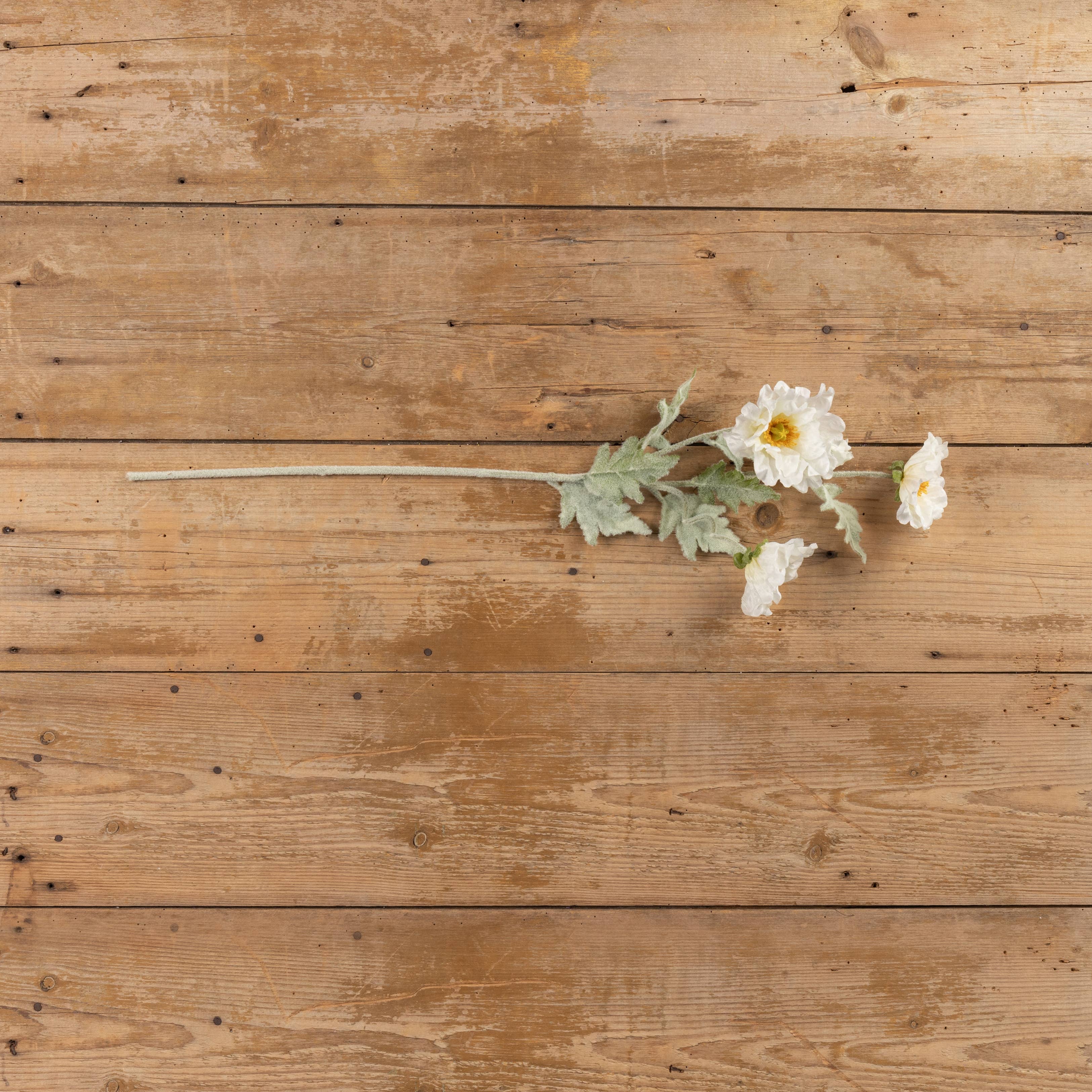 White Poppy Spray Stem