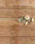 White Poppy Spray Stem