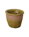 Mossy Terracotta Pot