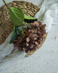 Brown Hydrangea Spray Stem