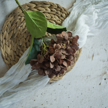 Brown Hydrangea Spray Stem