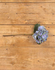 Blue Hydrangea Stem
