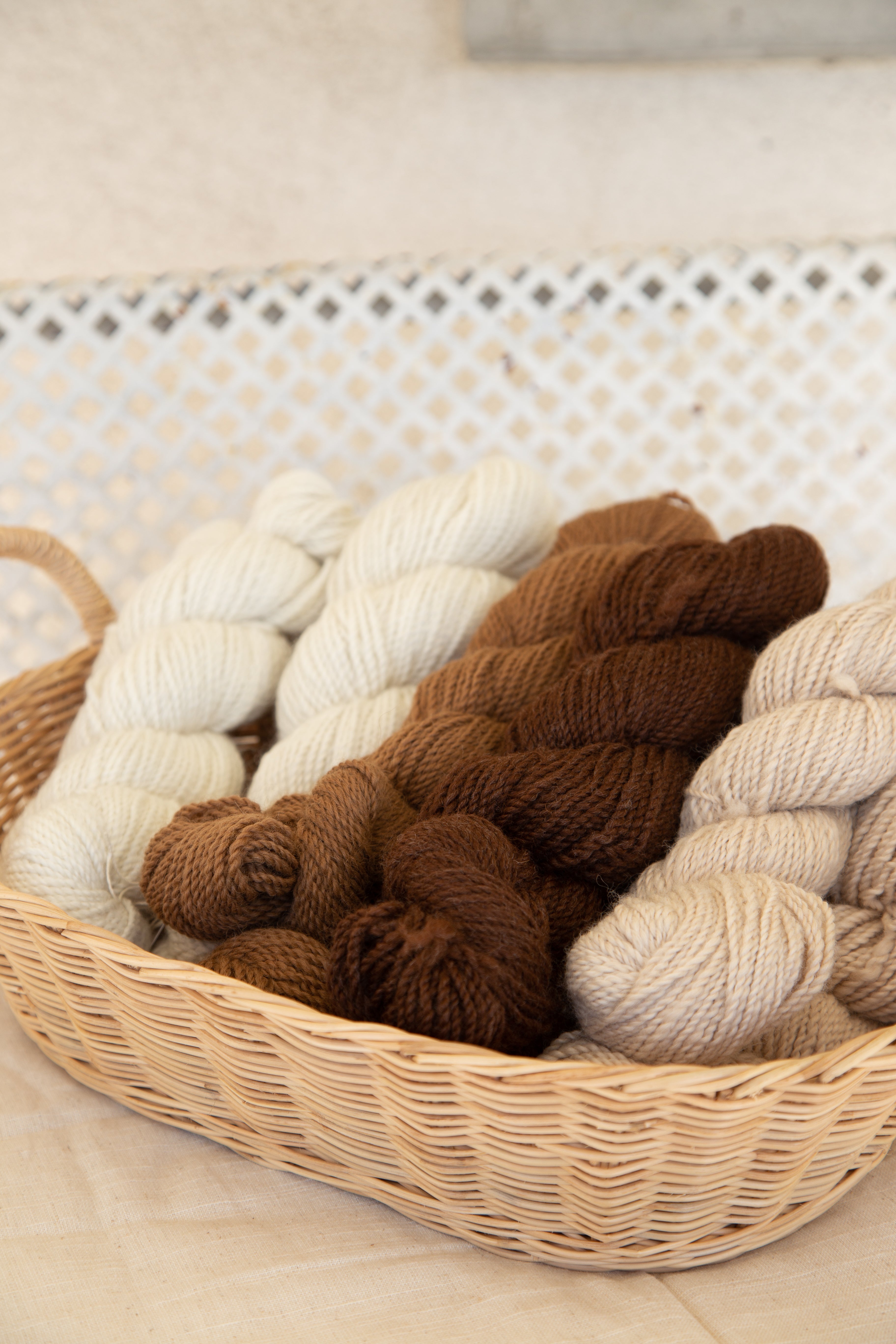 Alpaca Yarn