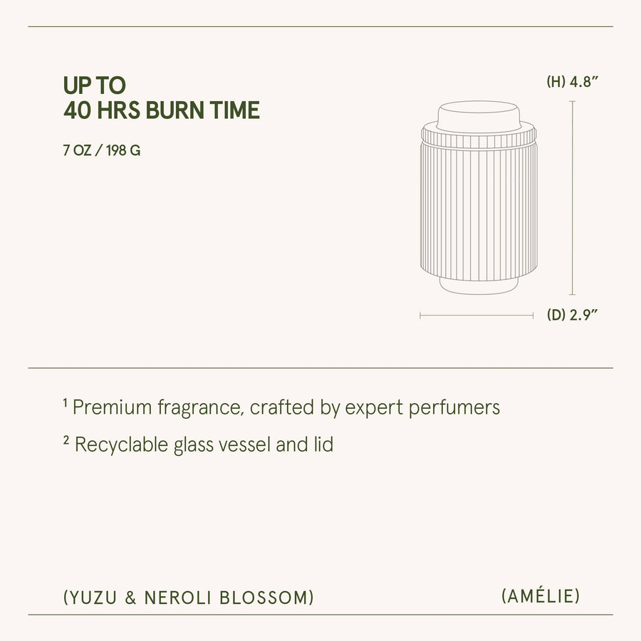 Amélie - Yuzu & Neroli Blossom 7oz Candle