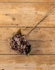 Beige and Purple Hydrangea Spray