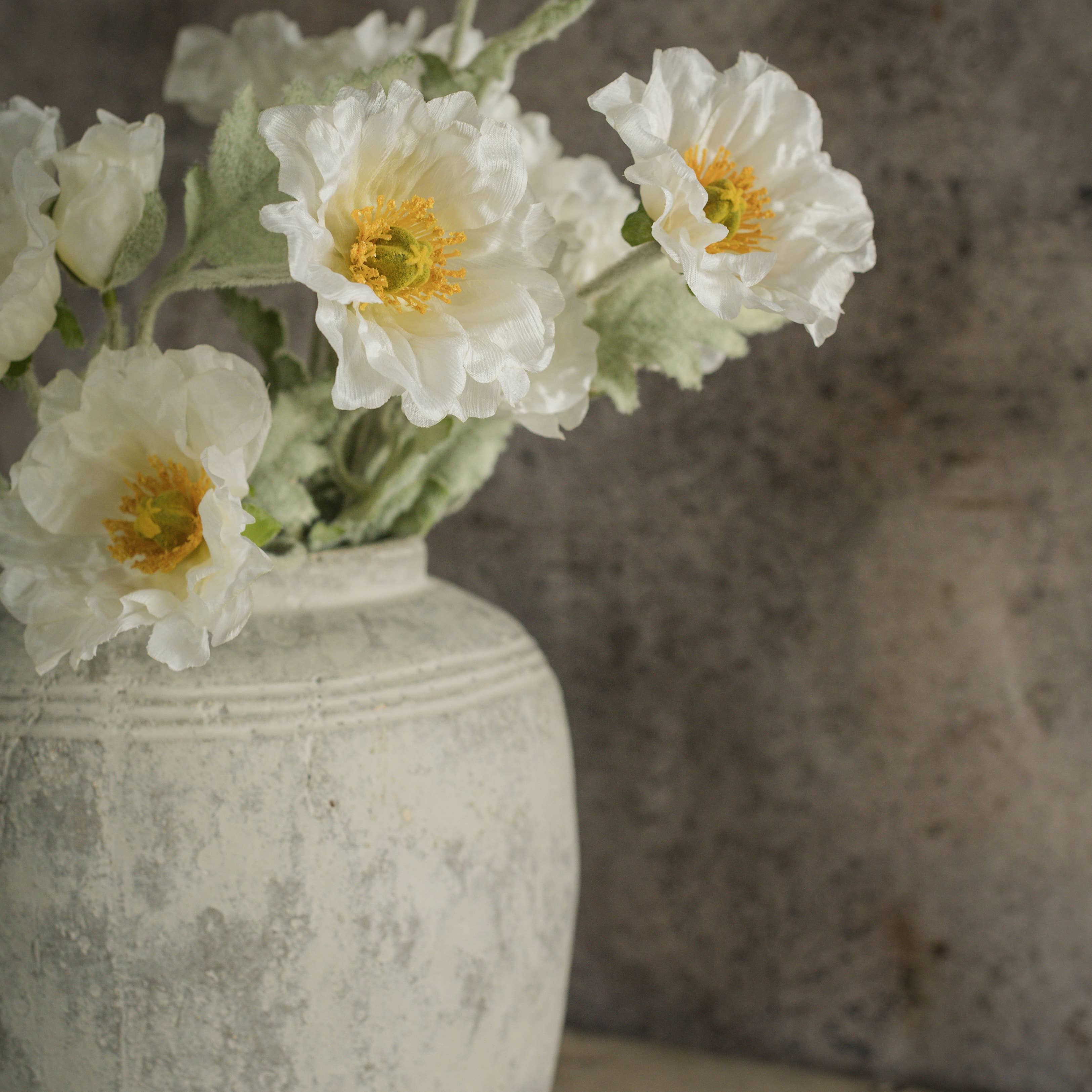 White Poppy Spray Stem