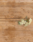 White Hydrangea Spray Stem