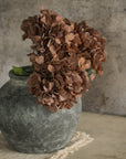 Brown Hydrangea Spray Stem