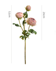 Pink Garden Rose Stem