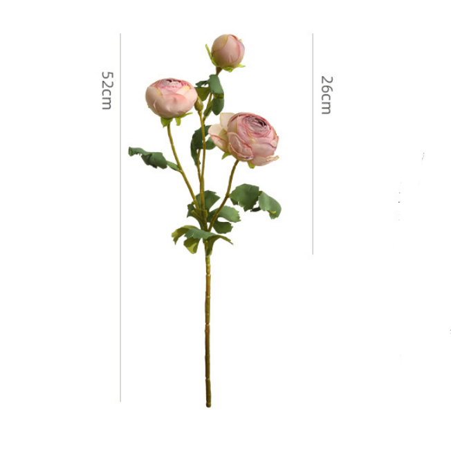 Pink Garden Rose Stem