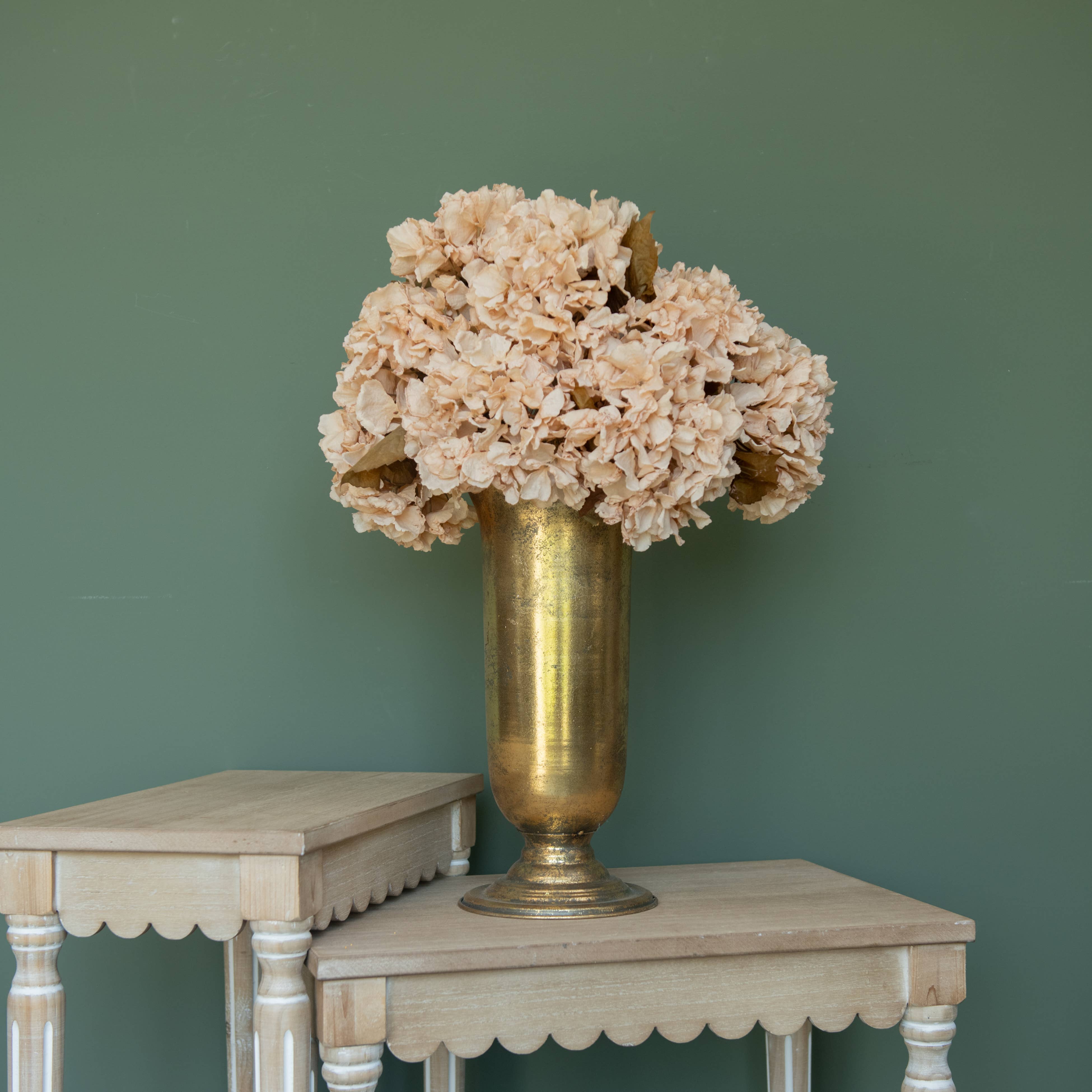 Beige Hydrangea Stem