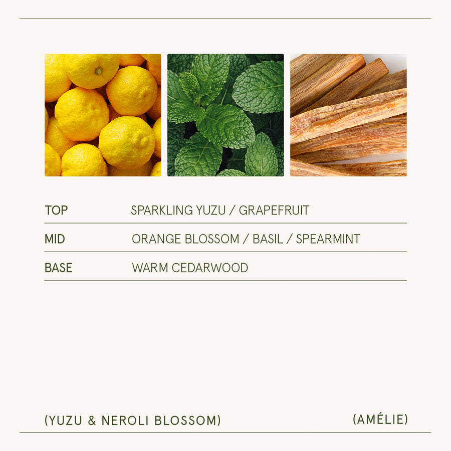 Amélie - Yuzu & Neroli Blossom 7oz Candle