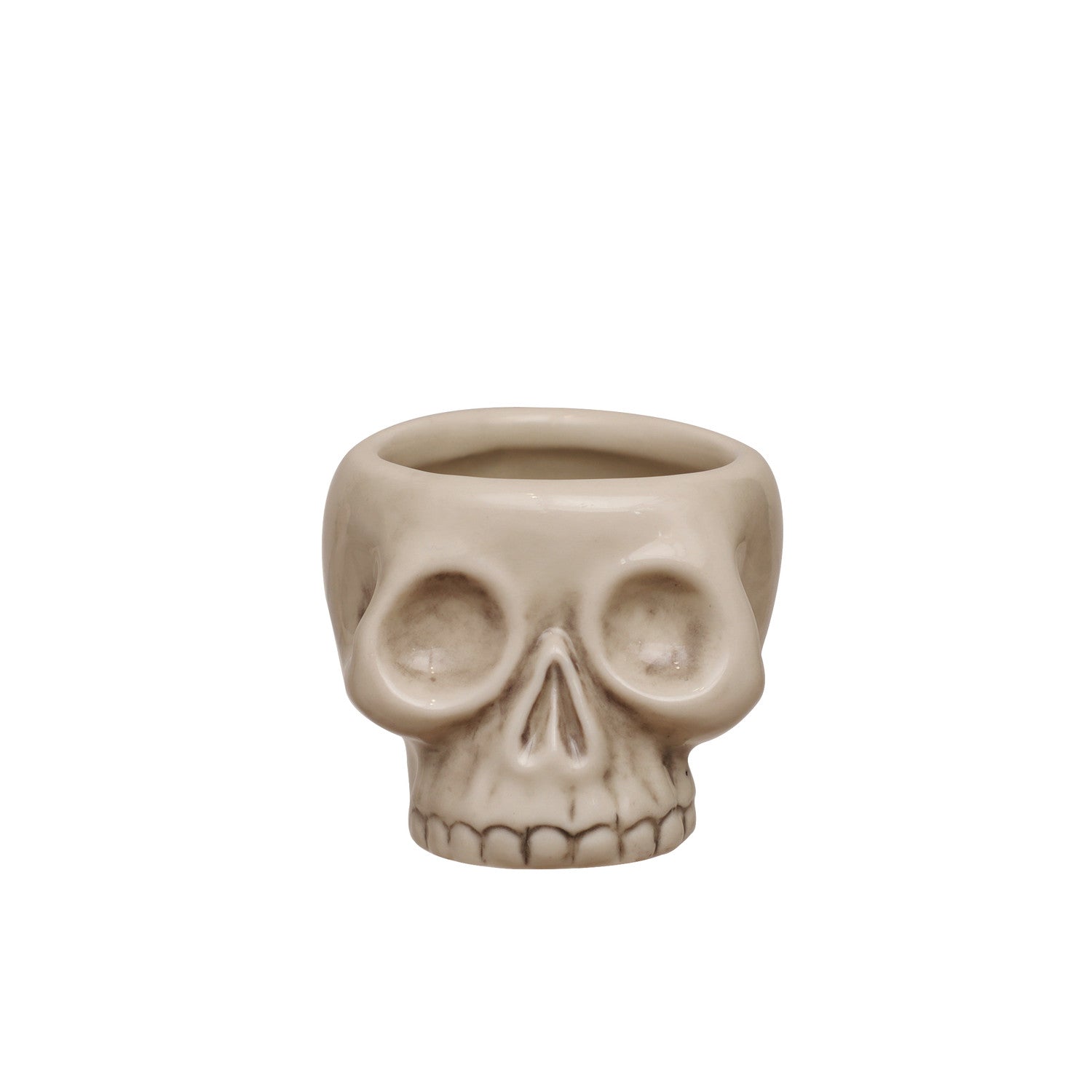 Stoneware Skull Shaped Toothpick Holder, Bone Finish